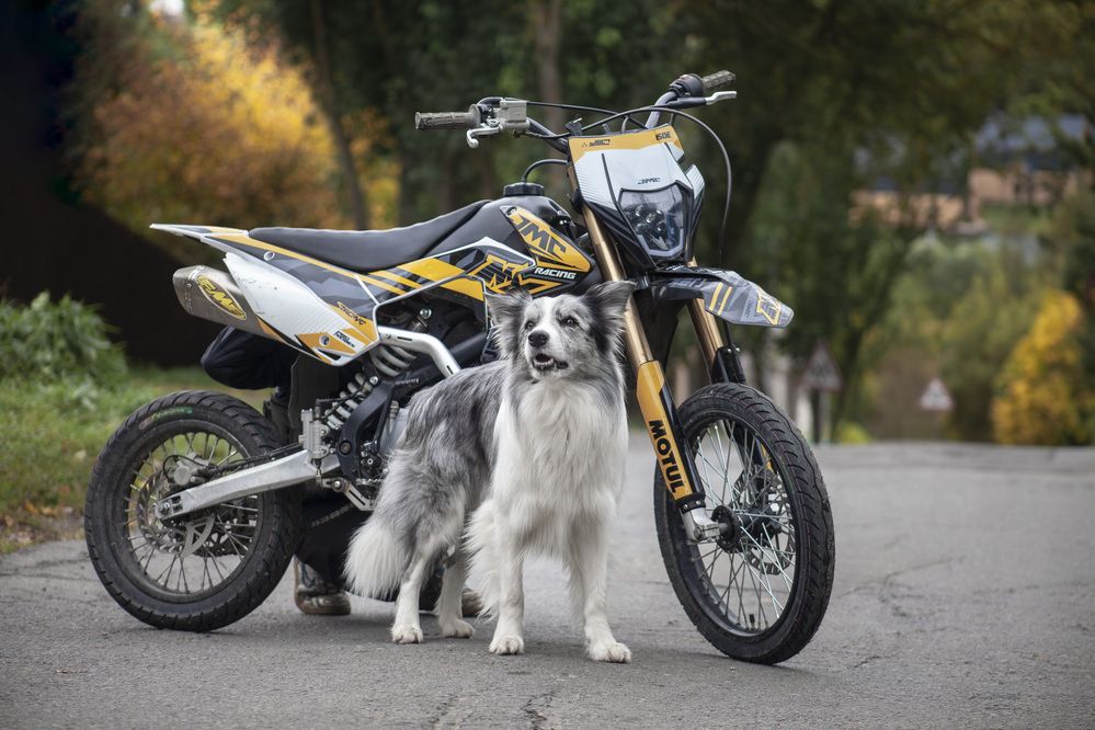 Photograph by Варя Тихонова