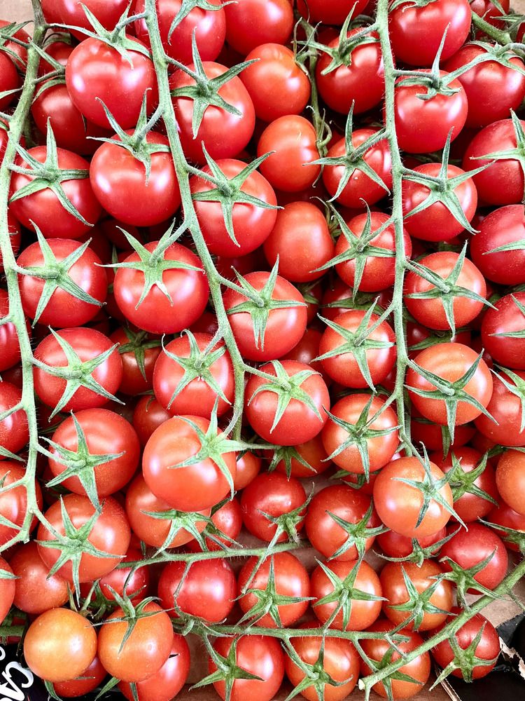 Фотография автора Antonio Etevaldo Rodrigues Junior