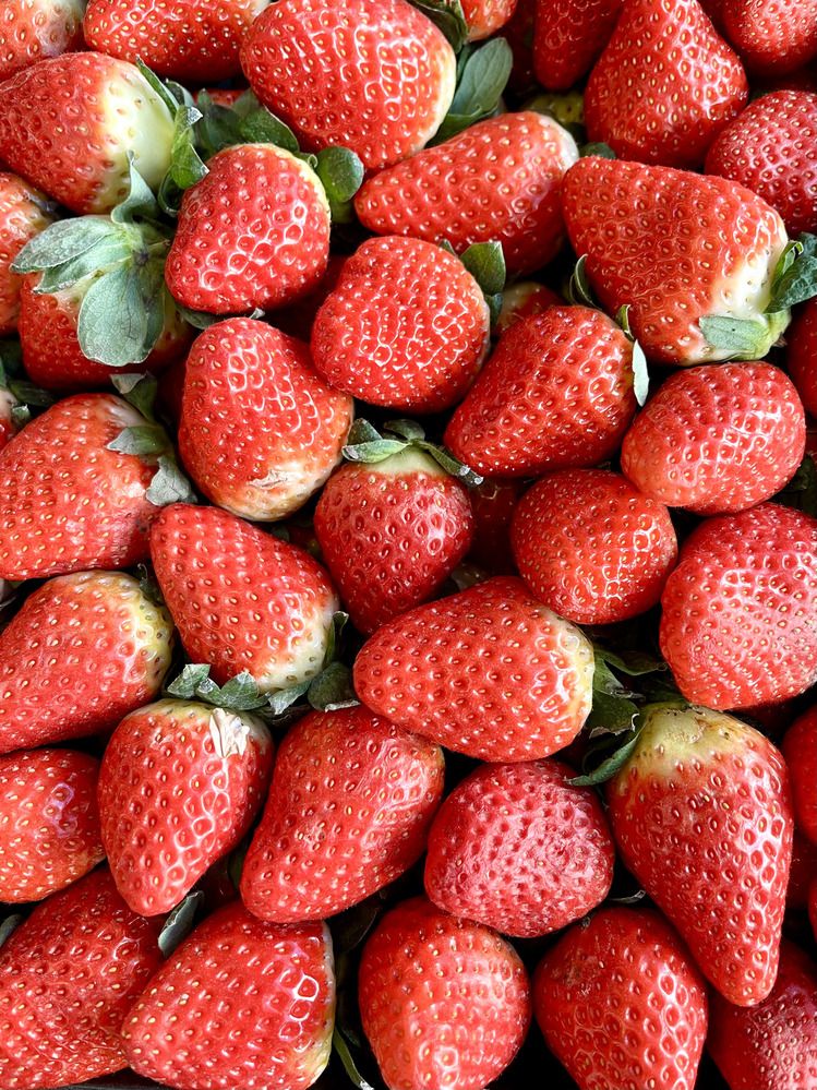 Фотография автора Antonio Etevaldo Rodrigues Junior