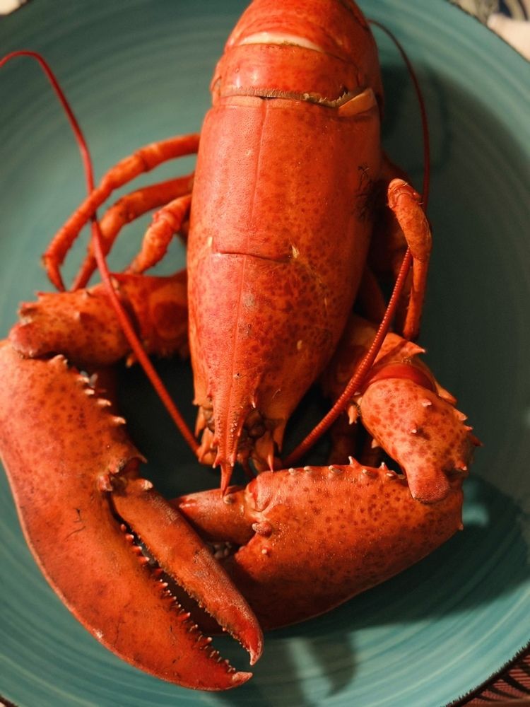 Фотография автора Olga Andriuc