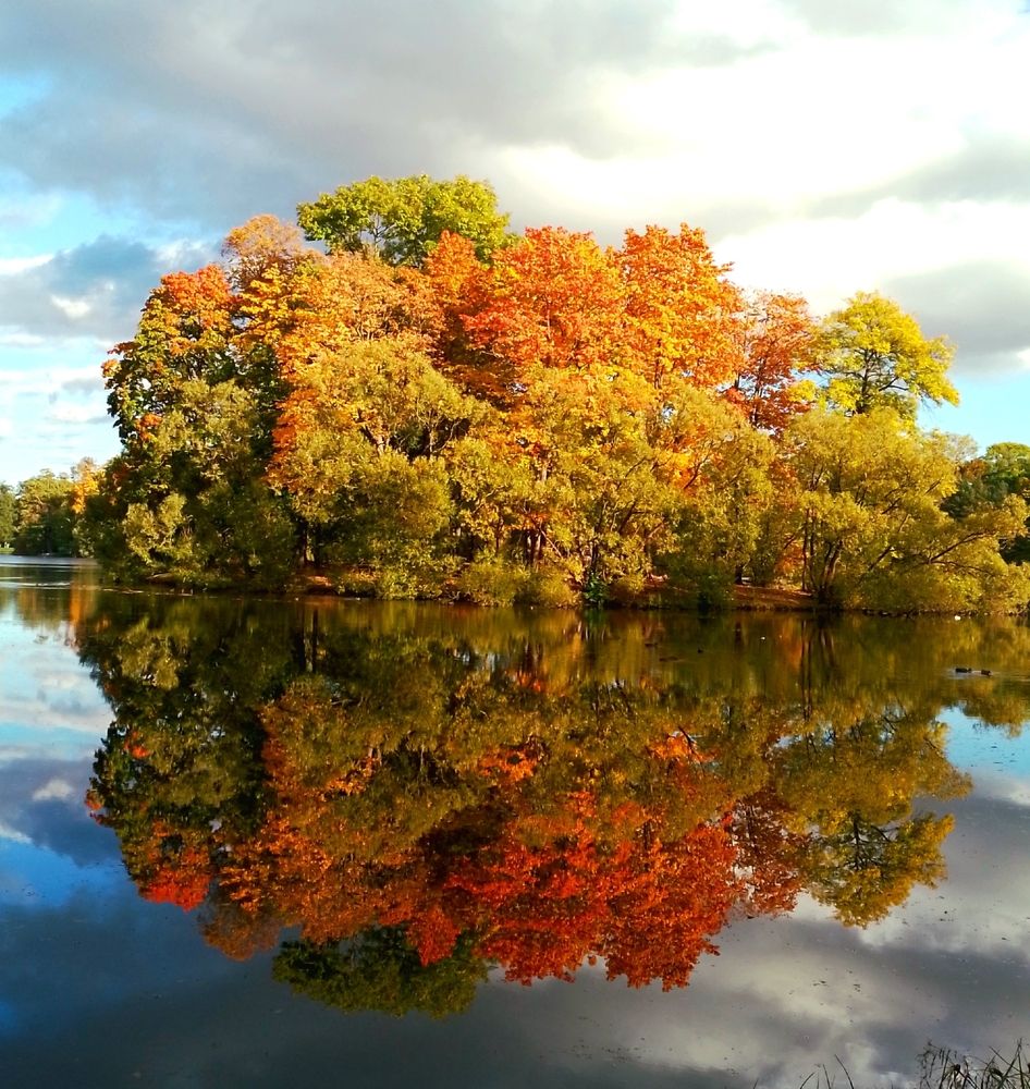 Фотография автора Наталья Бруёк