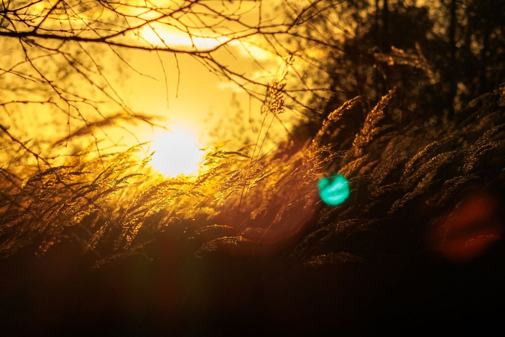 Фотография автора Aamoda Kitchen