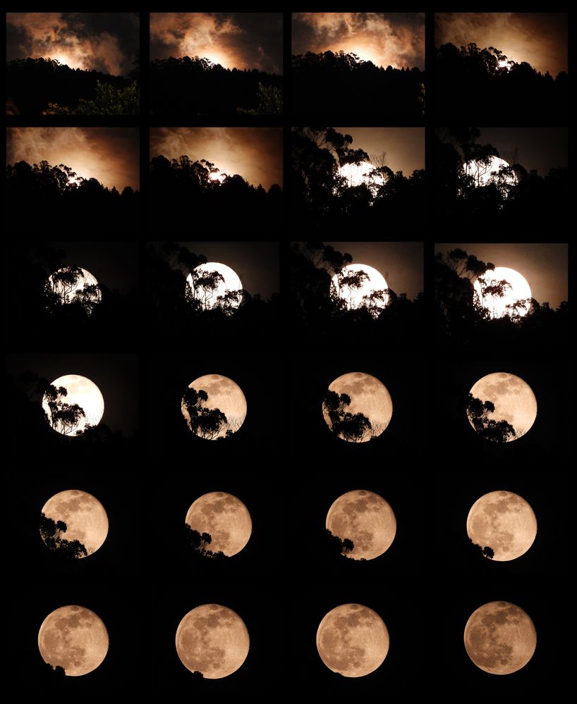 Фотография автора Camilo Martinez