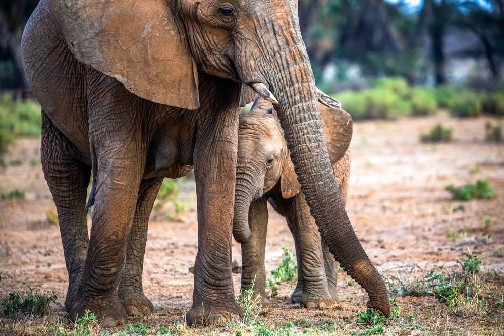 Photograph by Vita Potomova