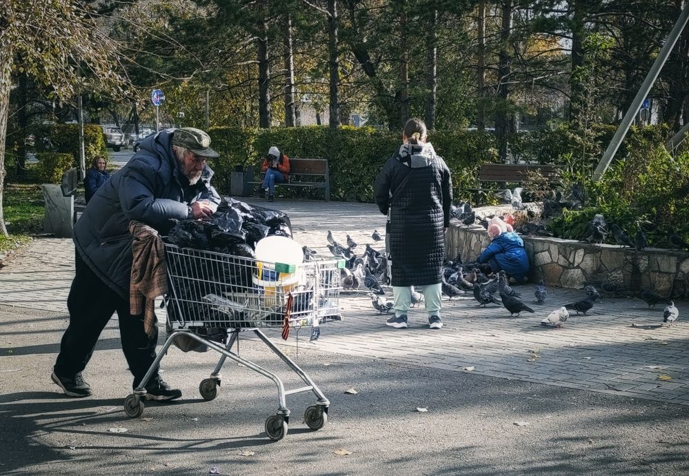 Photograph by Александр Шалагин