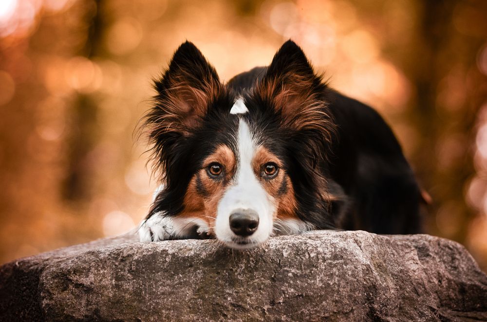 Фотография автора Kira Demina