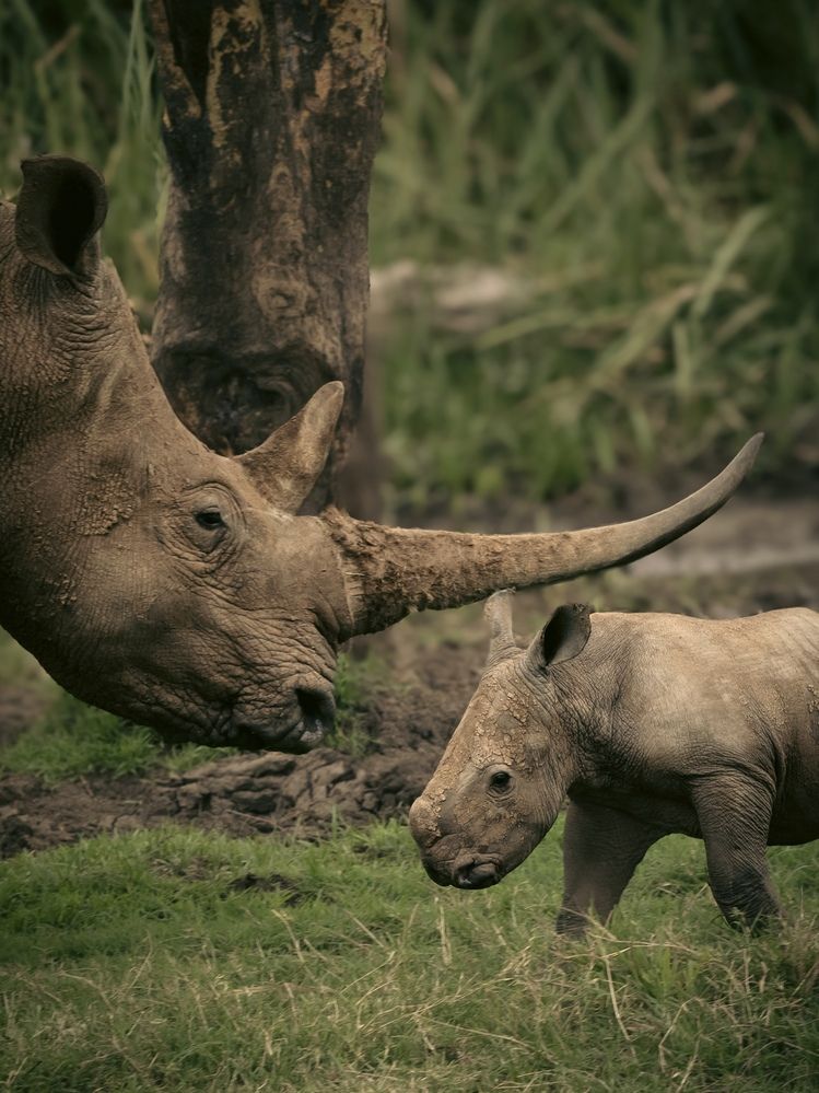 Photograph by Popiyakova Natalia