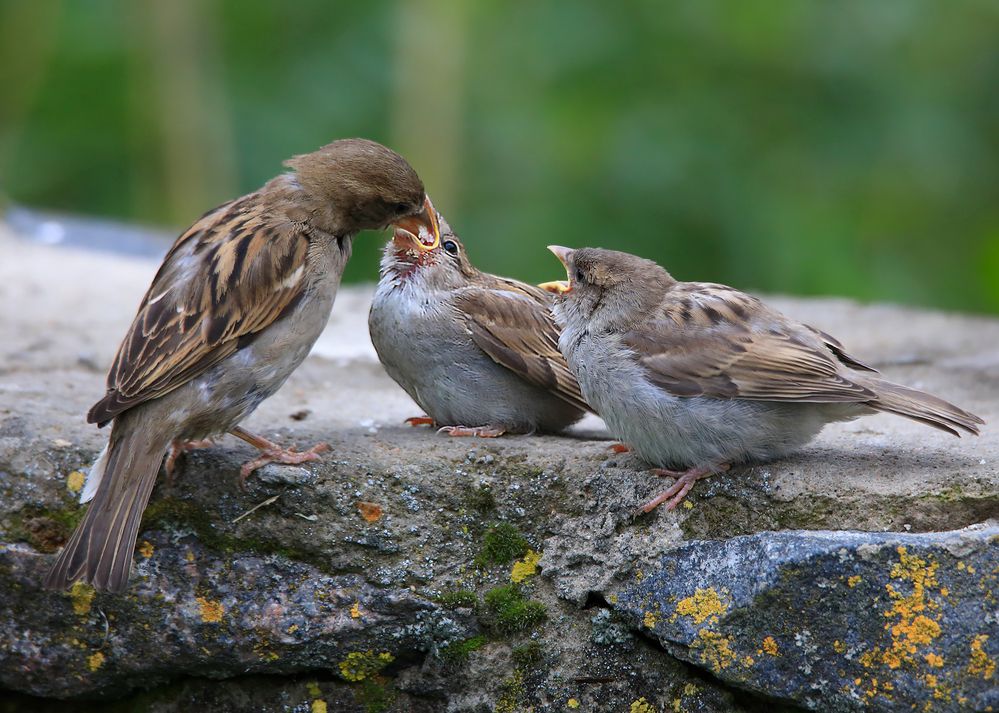 Проголодались.