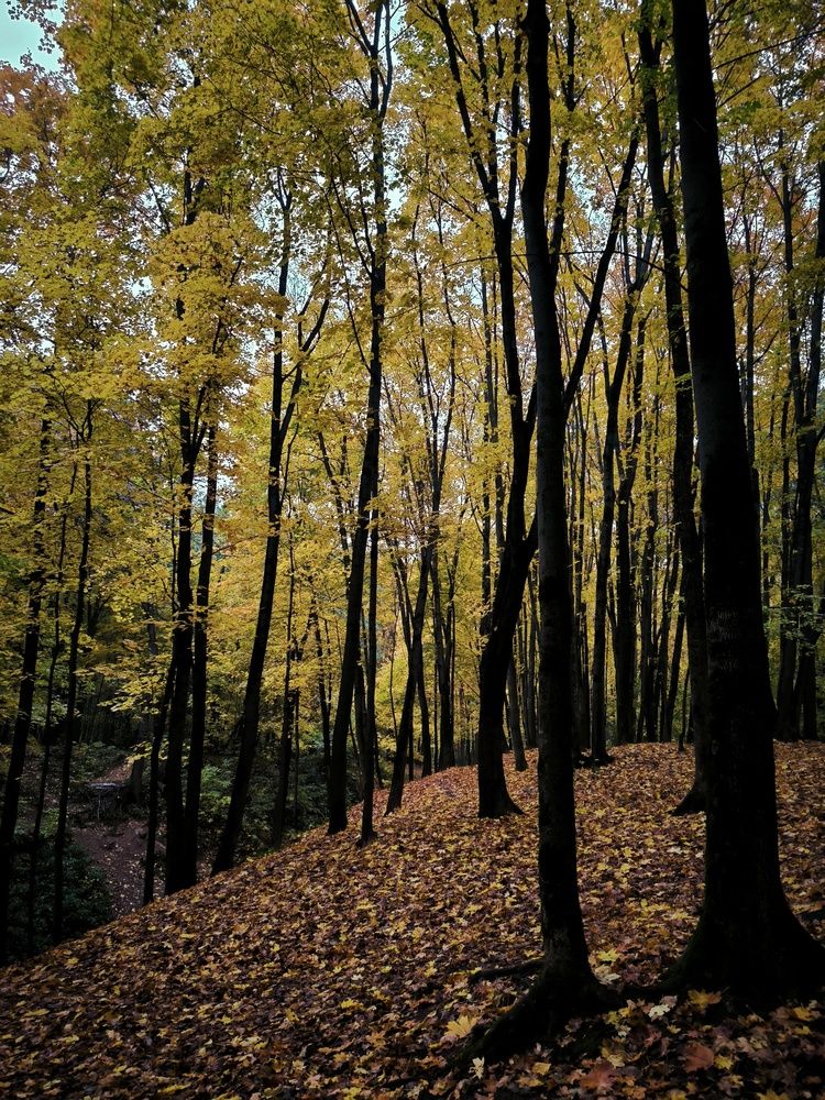 Photograph by Ольга Стоун