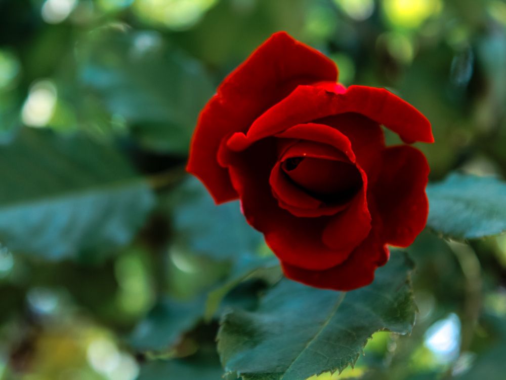 Photograph by Екатерина Кирьянова