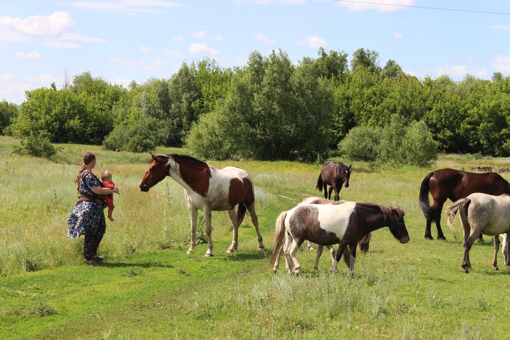 Photograph by Светлана Шубина