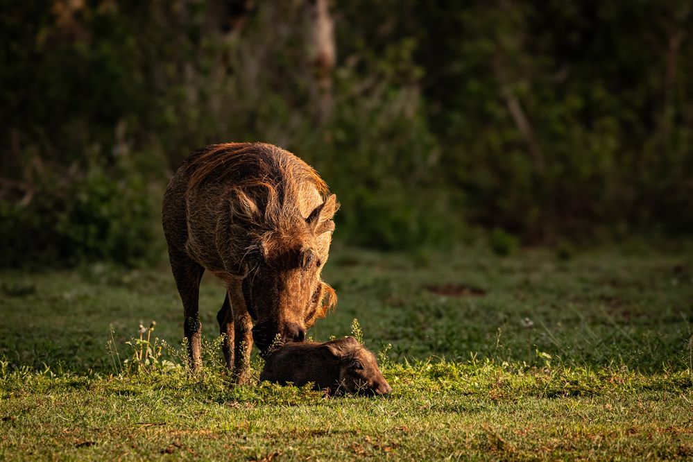 Photograph by Popiyakova Natalia