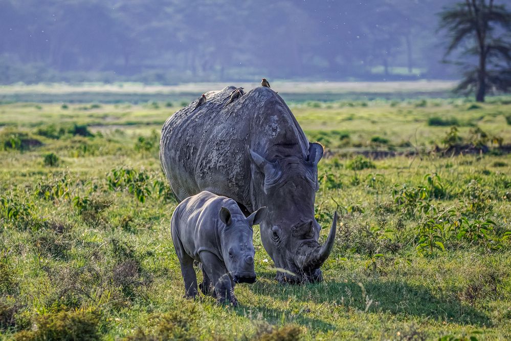 Photograph by Vita Potomova