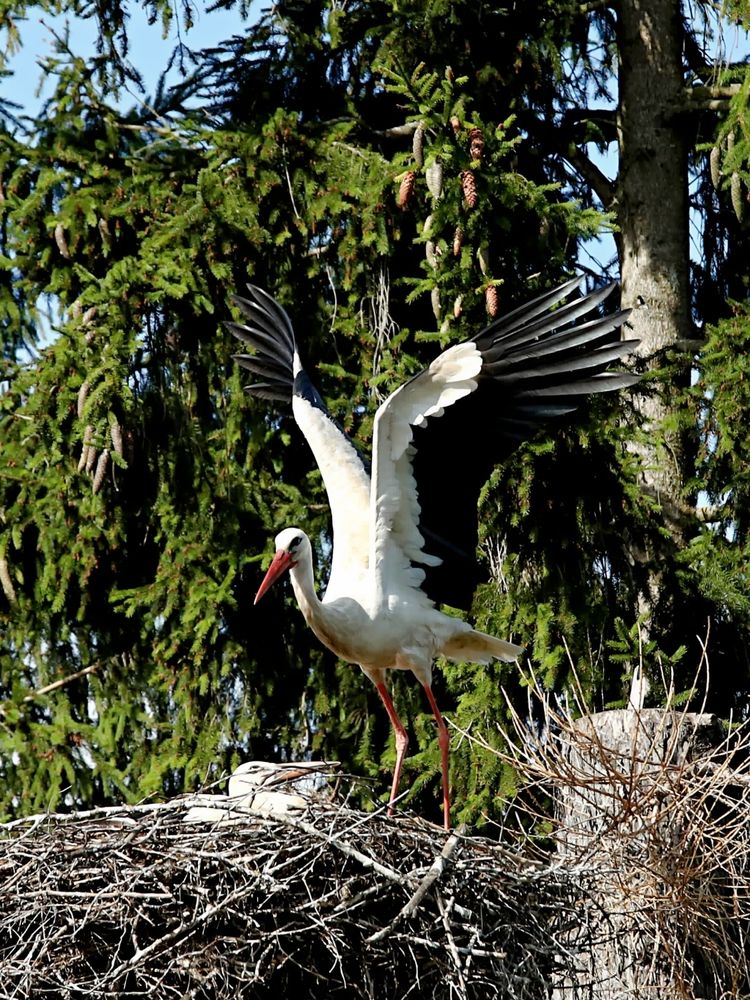 Photograph by Татьяна Слесарева