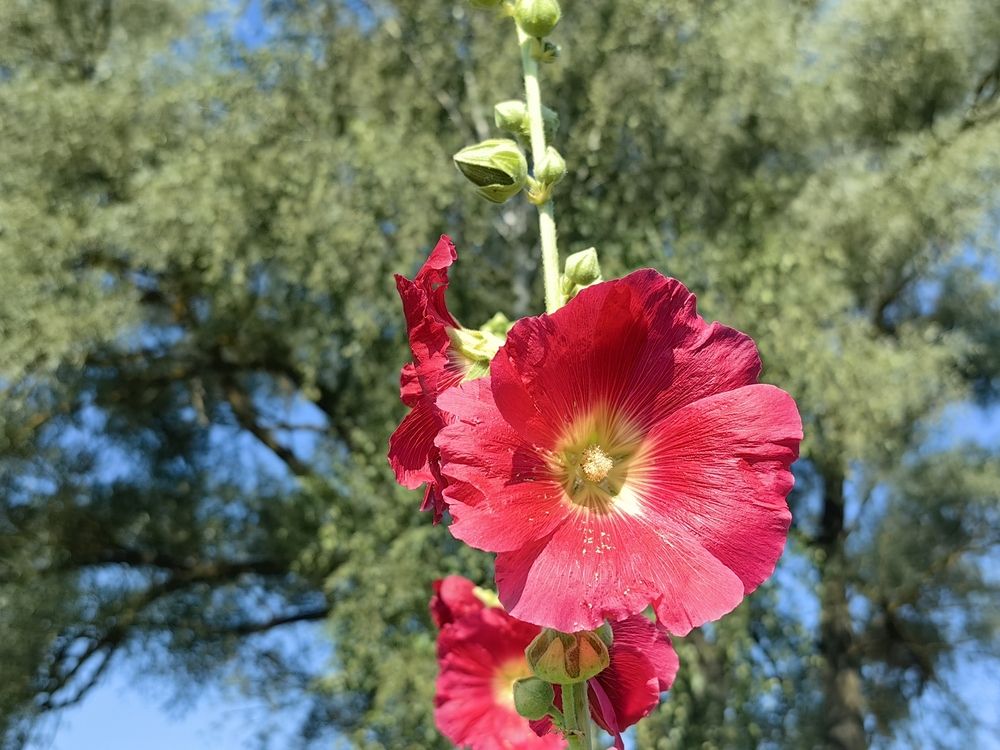 Photograph by Екатерина