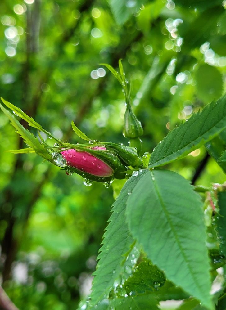 Photograph by Елена