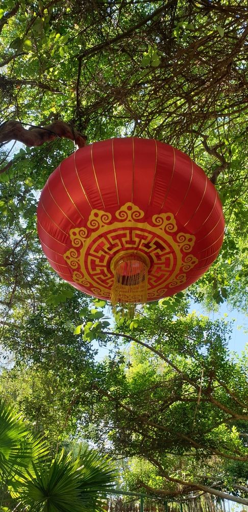 Фотография автора Asya