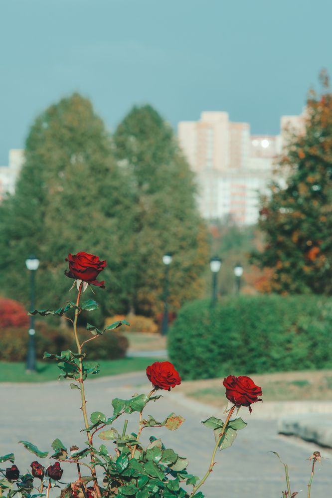 Photograph by Siarhei Makarski