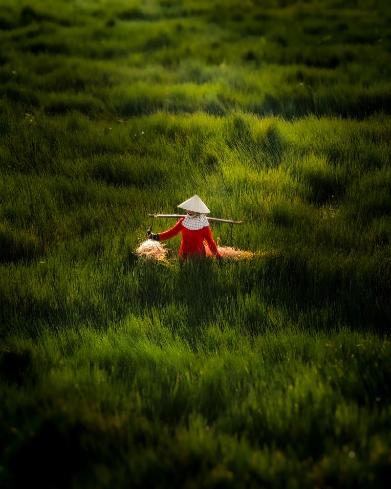 Photograph by Halo Nguyen