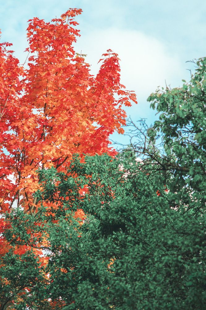 Photograph by Siarhei Makarski