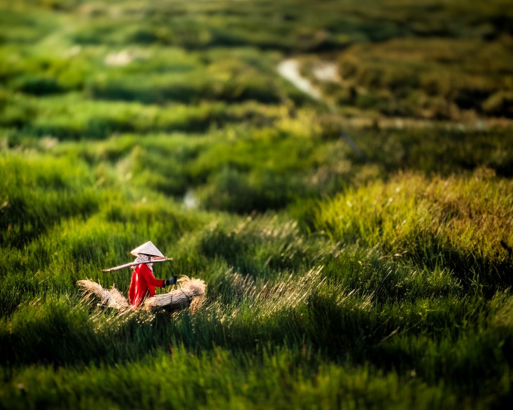 Photograph by Halo Nguyen