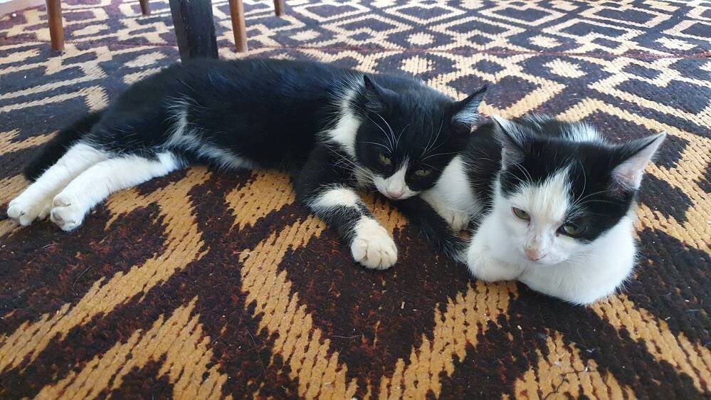 Photograph by Эдик Нуран