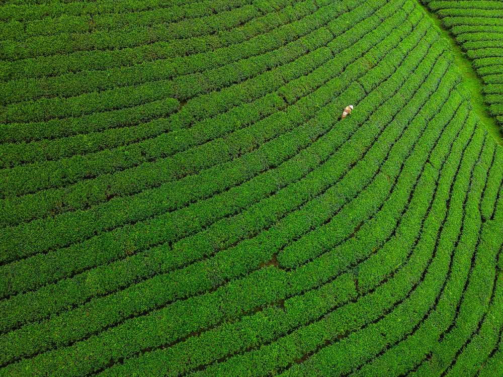 Photograph by Jayakumar MN