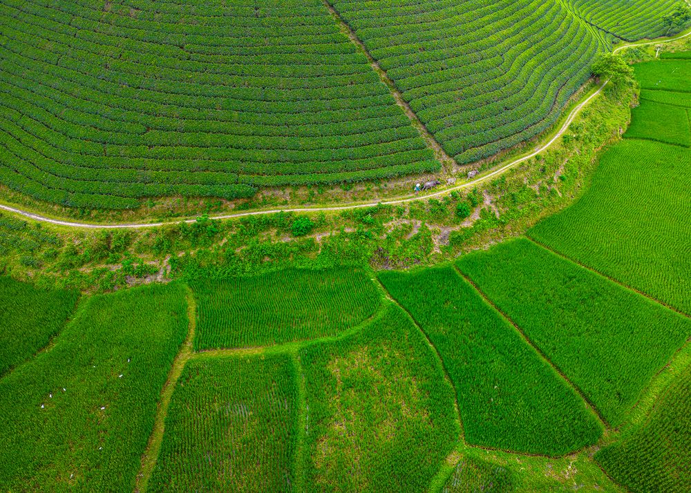 Photograph by Jayakumar MN