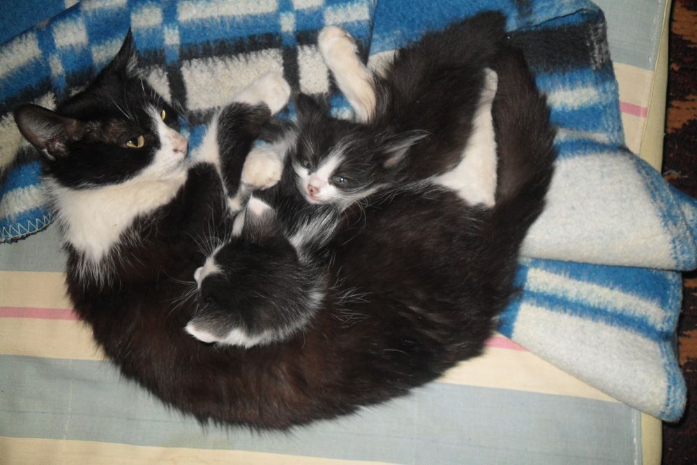 Photograph by Эдик Нуран