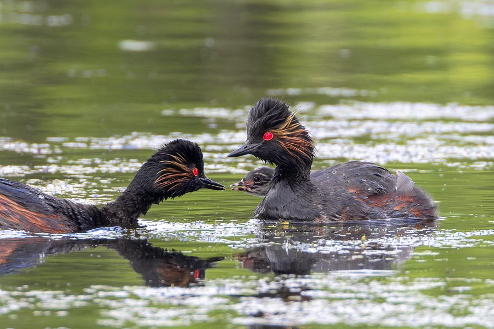 Photograph by Вера Машина