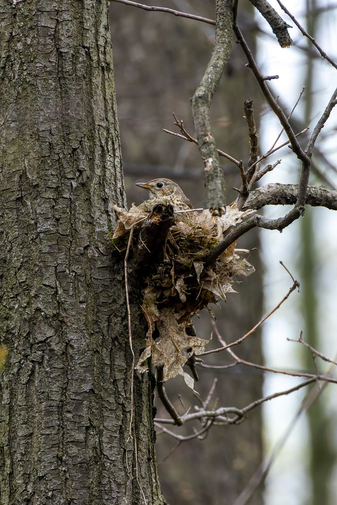Photograph by Вера Машина