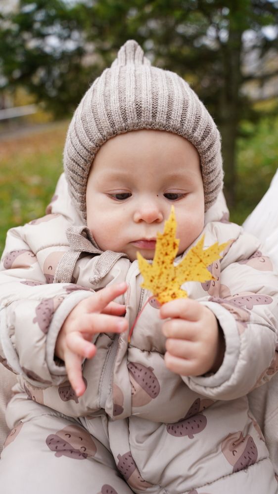 Фотография автора Алена Баулина