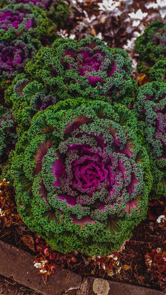 Photograph by Екатерина Никитина