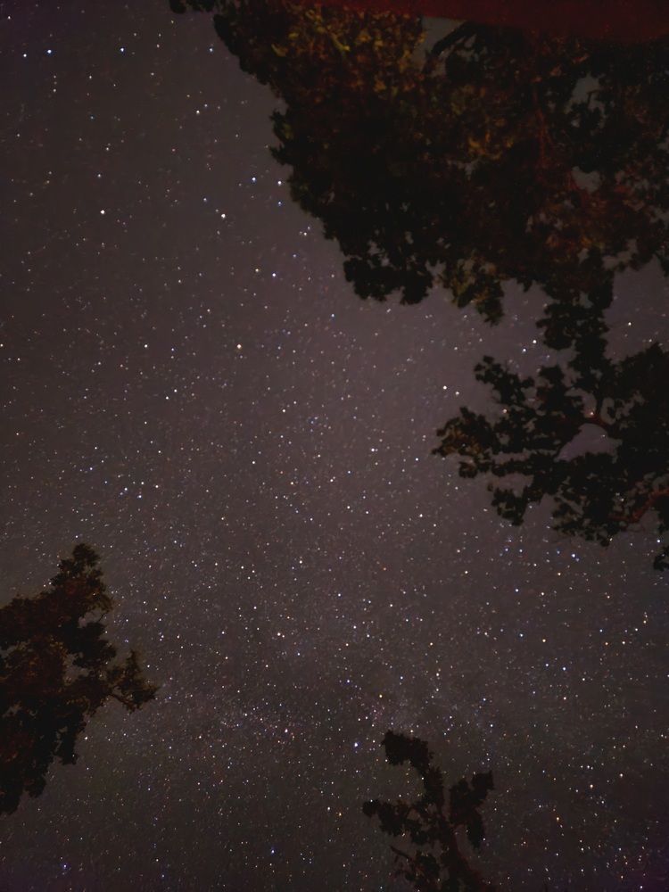 “The Night That Never Ends”