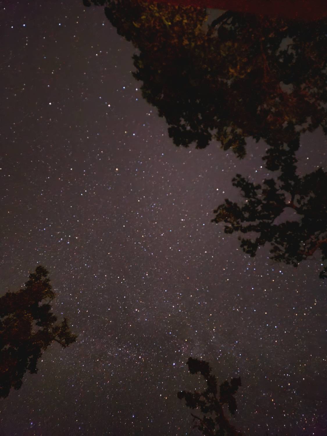 “The Night That Never Ends”