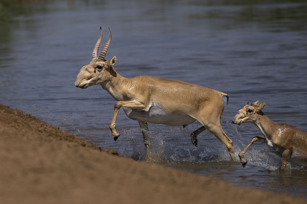 Photograph by Марина Маликова