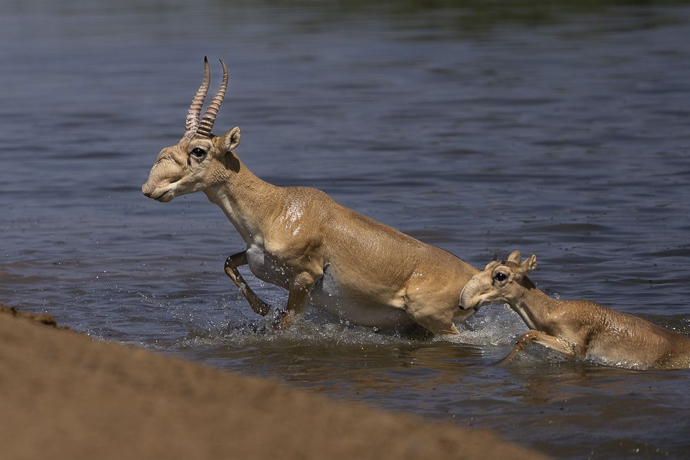 Photograph by Марина Маликова