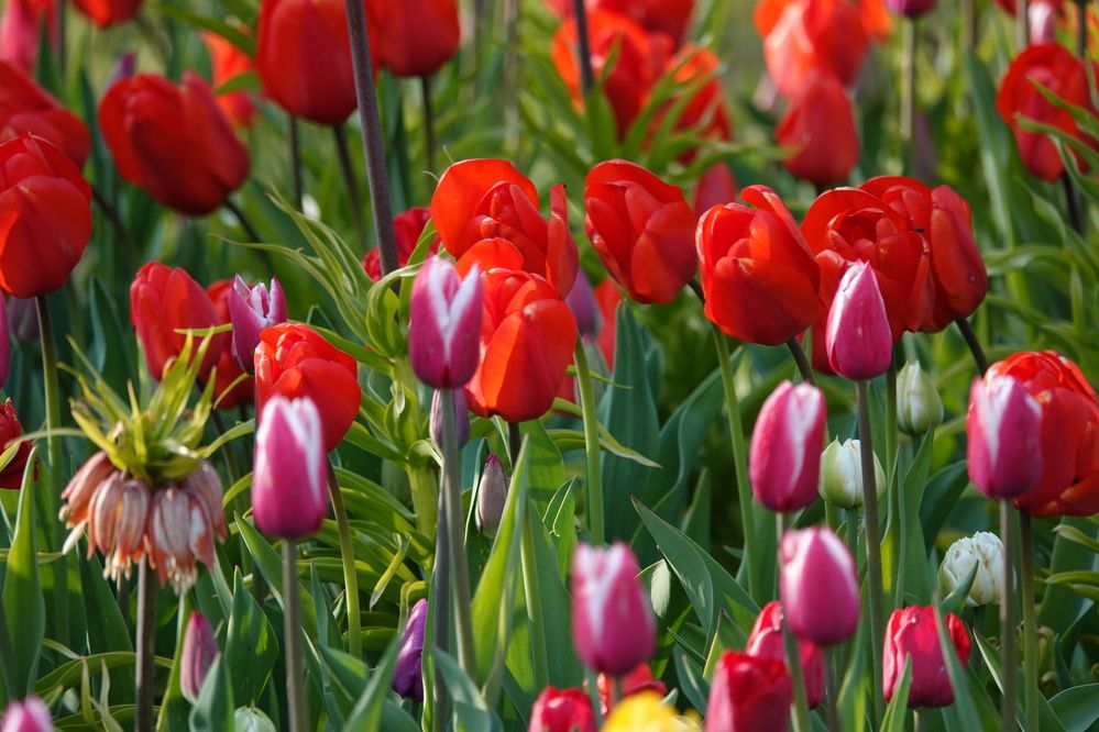 Photograph by Zakharov Matvey