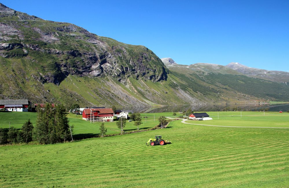 Поля и горы