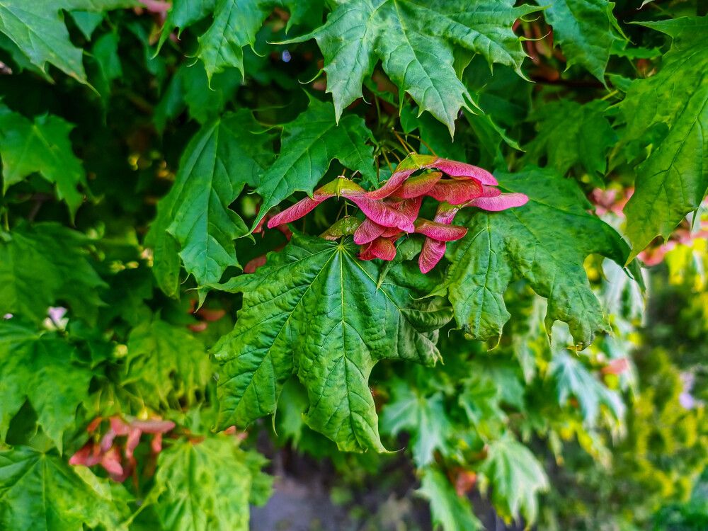 Photograph by Виталий Талисман