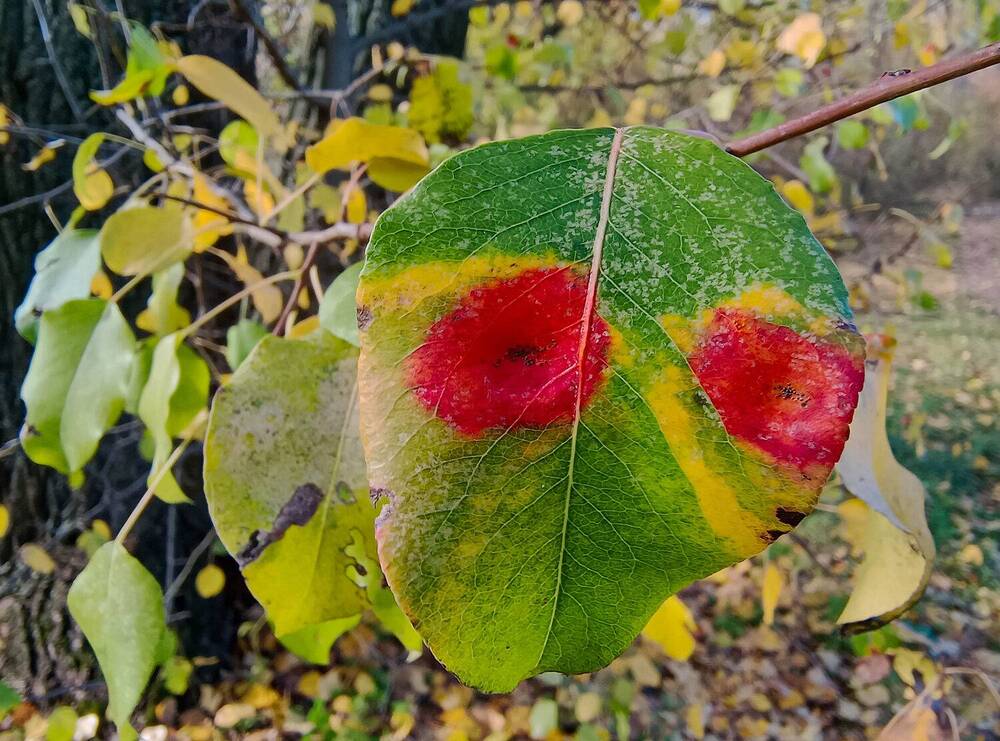 Photograph by Виталий Талисман