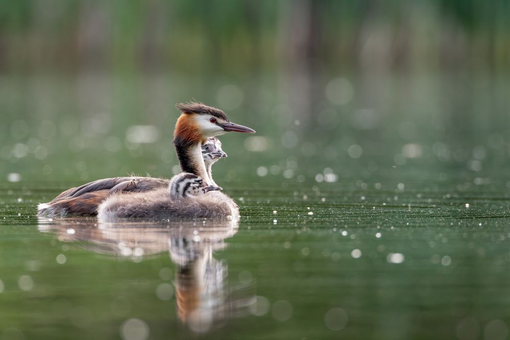 Photograph by Вера Машина