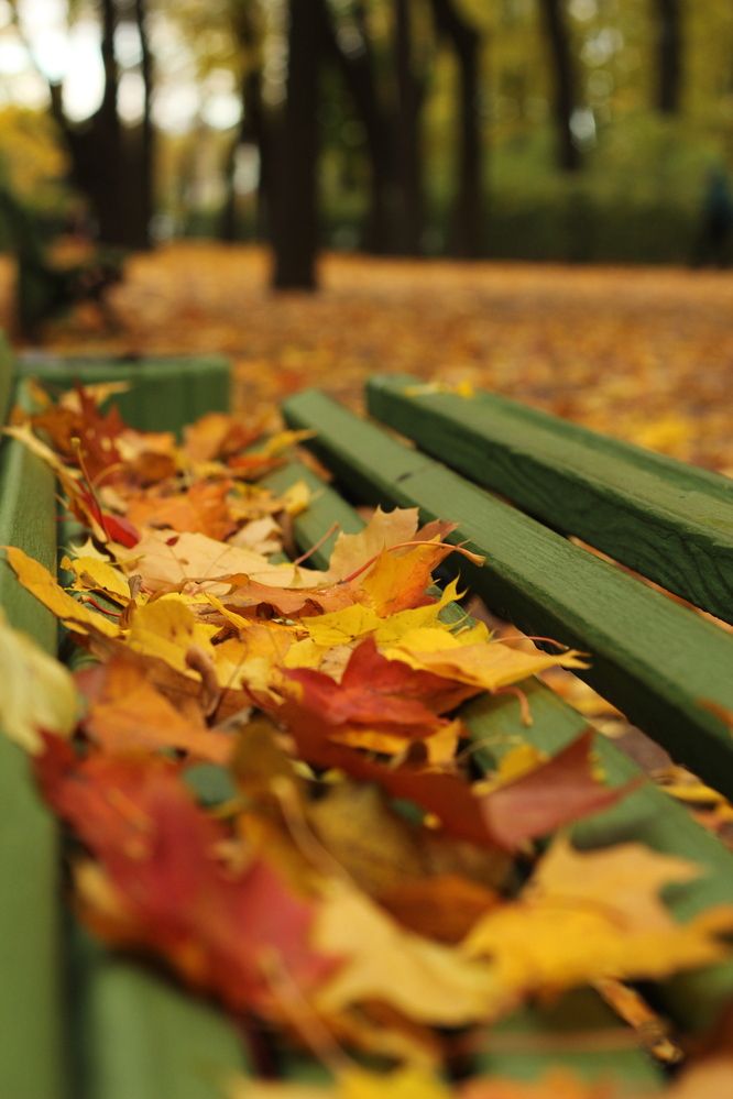 Photograph by Наталья Волкова