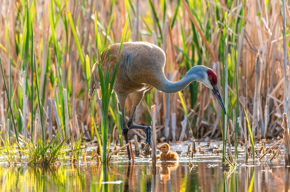 Photograph by josh hunter