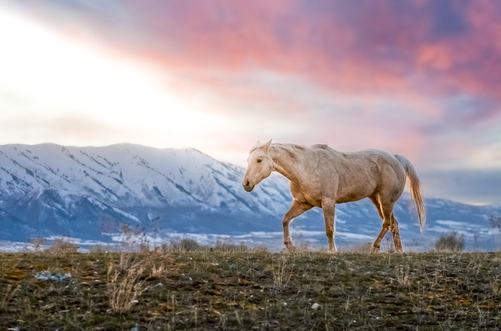 Photograph by Josh hunter