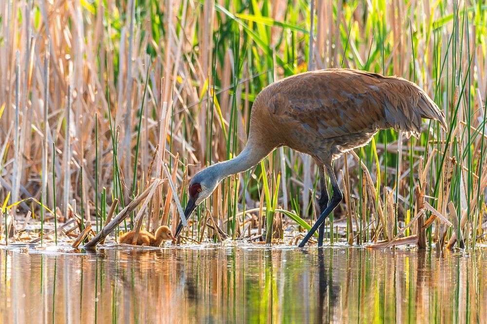 Photograph by josh hunter