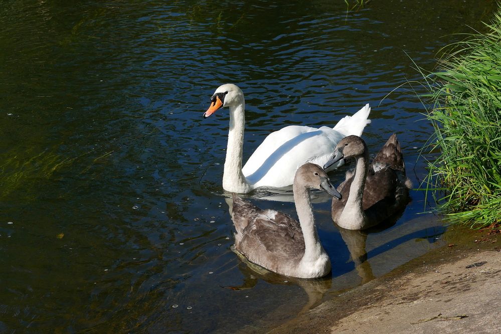 Photograph by Владимир Лобанов