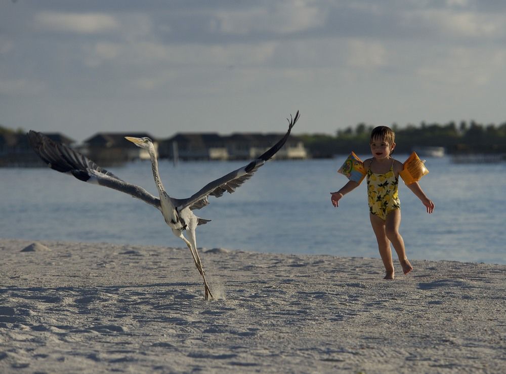 Photograph by Lazeba Anna