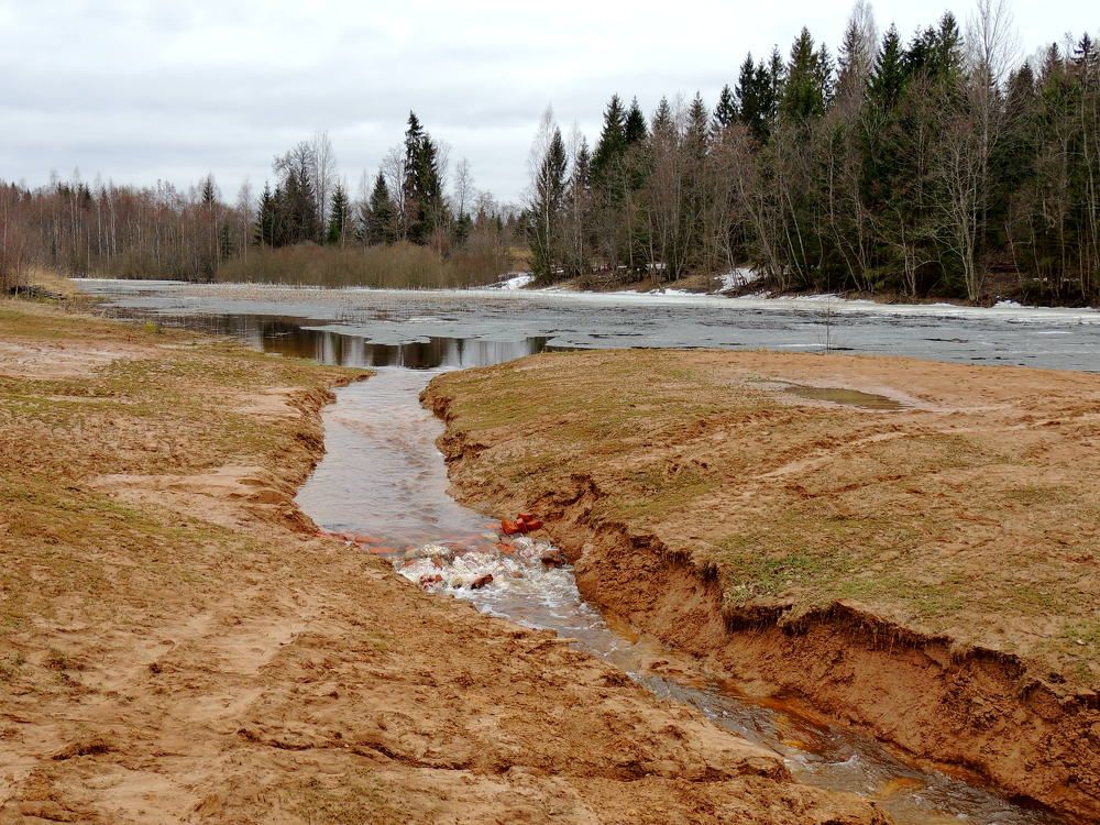 Весенний теплый день.