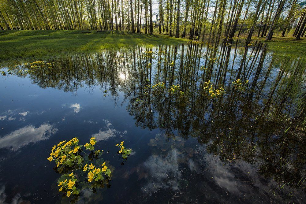 Боголюбские разливы.